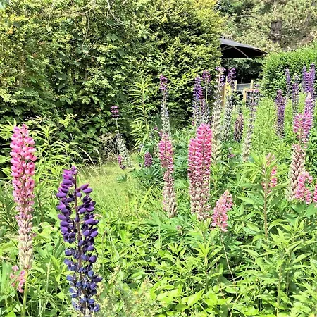 Thrugels - 200m From The Sea By Interhome *